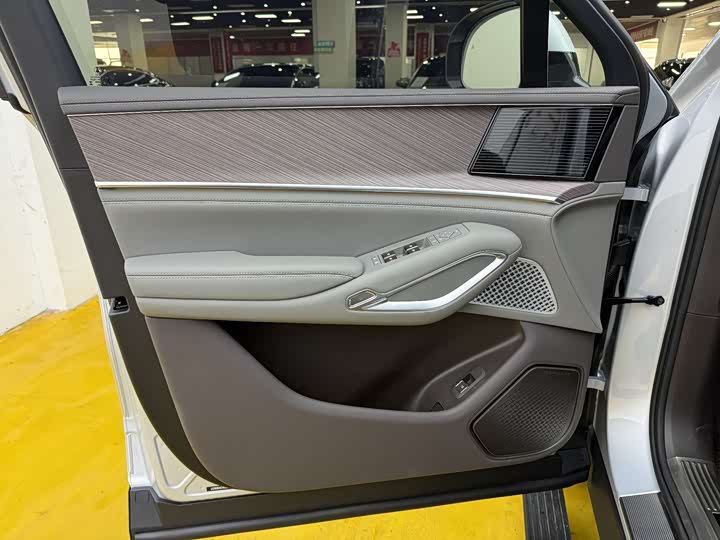 Фото 3 - Denza N9