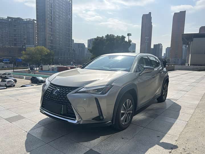 Фото 1 - Lexus UX Hybrid