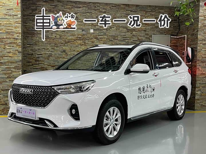 Фото 1 - Haval M6