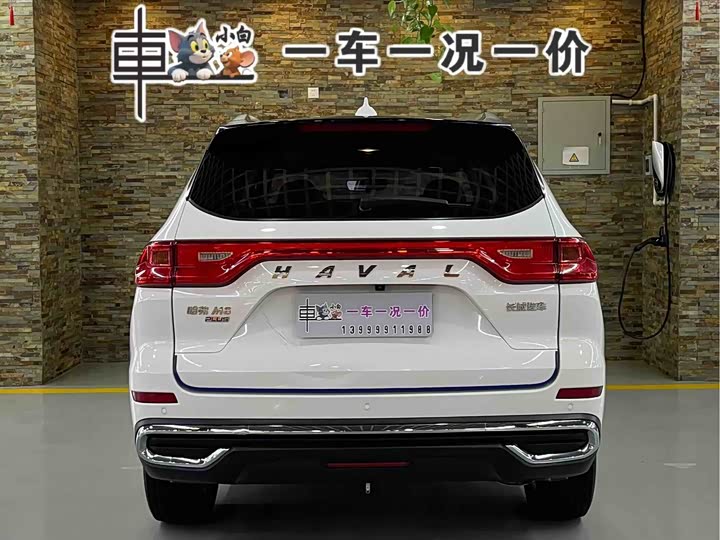 Фото 3 - Haval M6