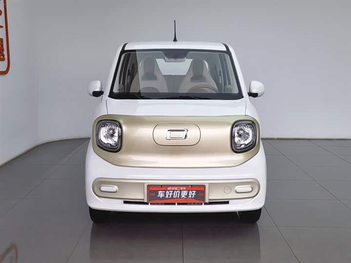 Фото 3 - Bestune Pony