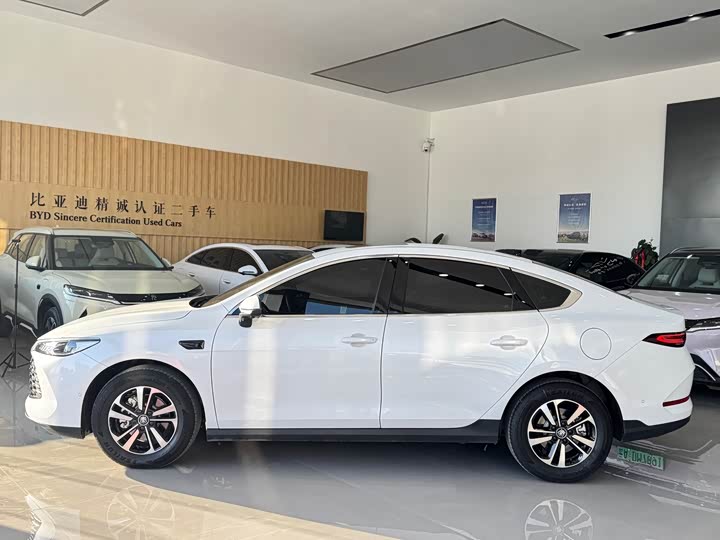 Фото 3 - BYD Qin Plus