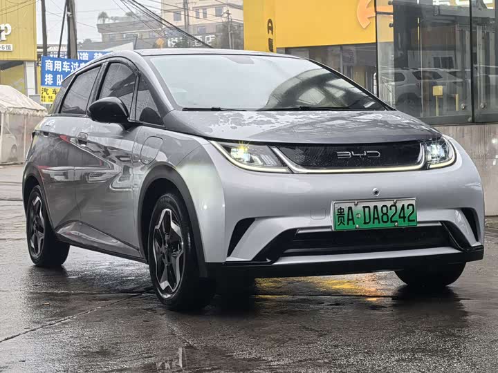 Фото 3 - BYD Dolphin