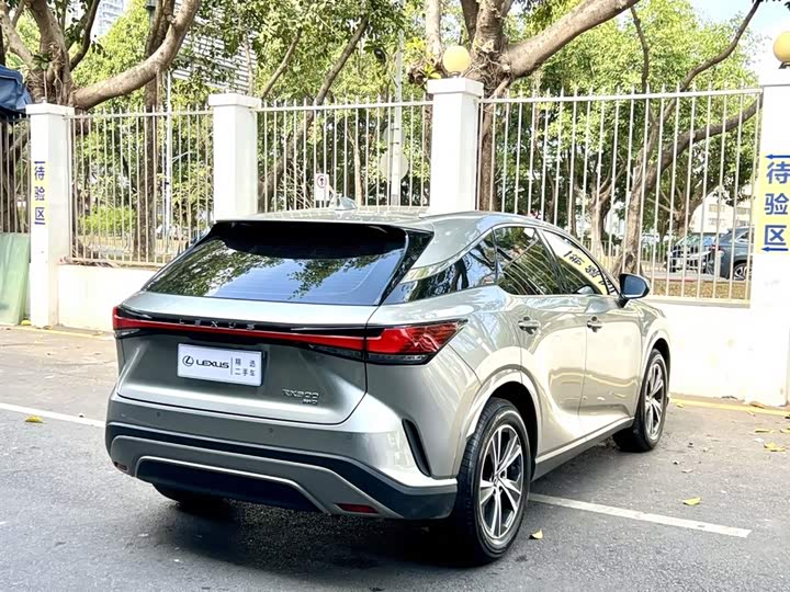 Фото 7 - Lexus RX