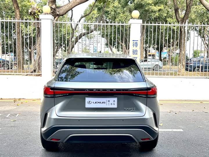 Фото 8 - Lexus RX