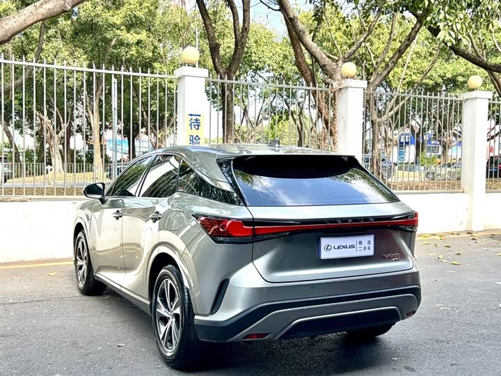 Фото 9 - Lexus RX