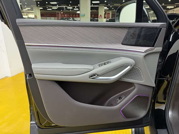 Фото 3 - Denza N9