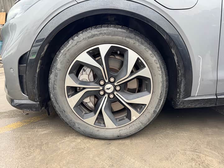 Фото 5 - Ford Mustang Mach-E