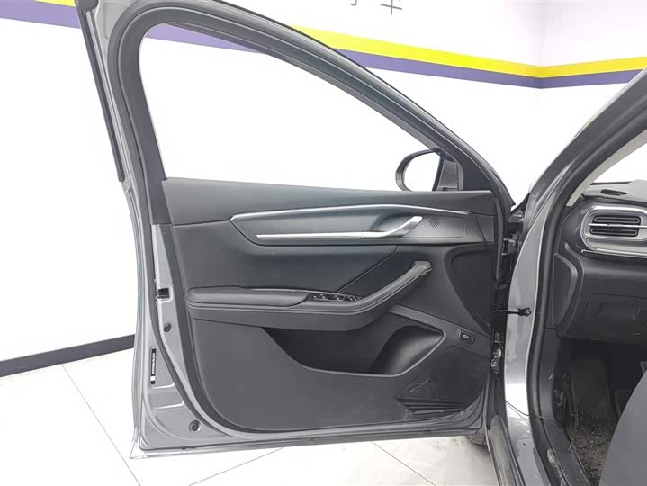 Фото 7 - BYD Destroyer 05