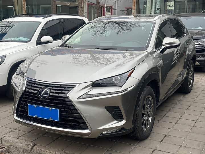 Фото 1 - Lexus NX