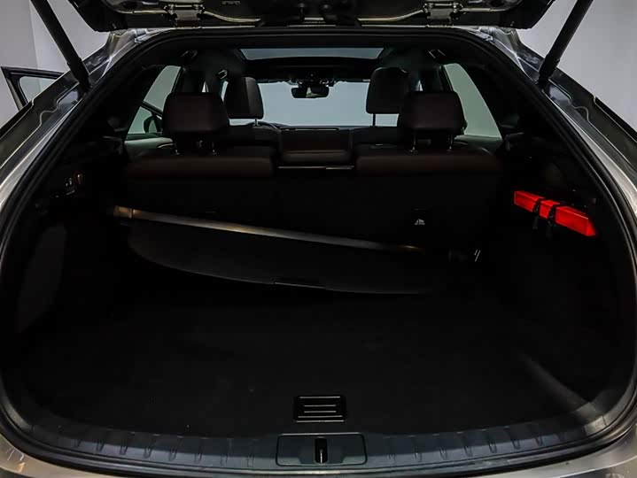 Фото 6 - Lexus RX