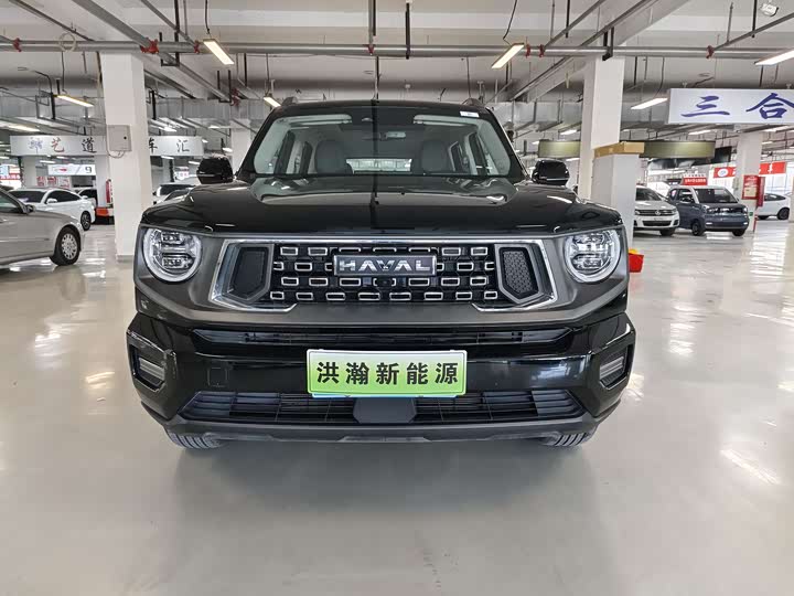 Фото 2 - Haval H-Dog