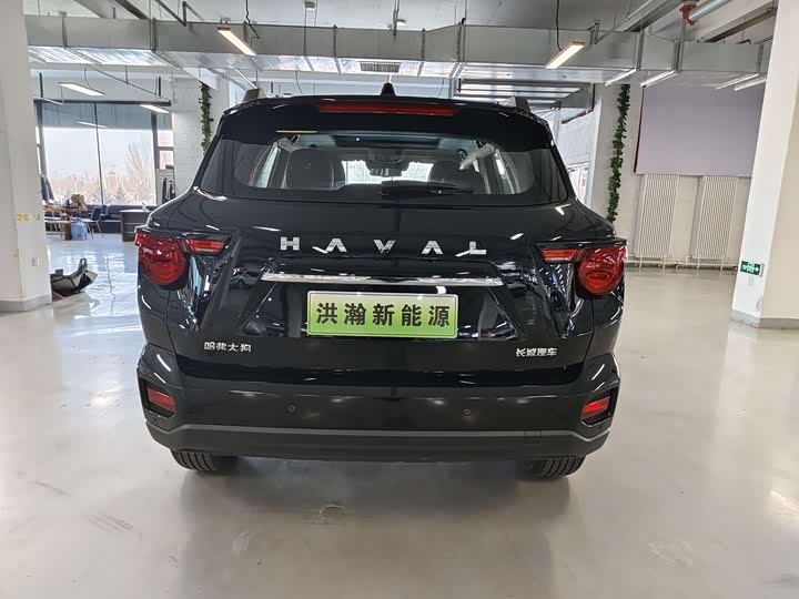 Фото 5 - Haval H-Dog