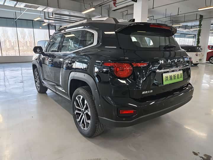 Фото 6 - Haval H-Dog