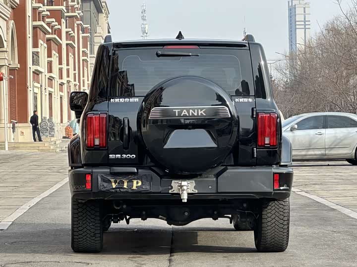 Фото 4 - Tank 300