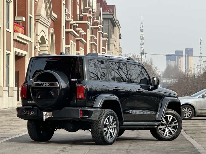 Фото 5 - Tank 300