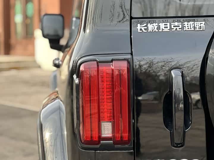 Фото 7 - Tank 300