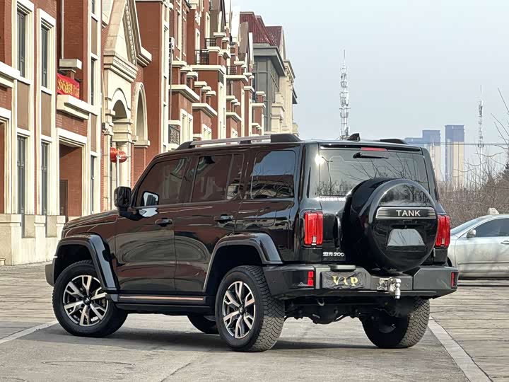 Фото 9 - Tank 300