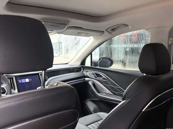 Фото 9 - Hongqi HS7 Hybrid