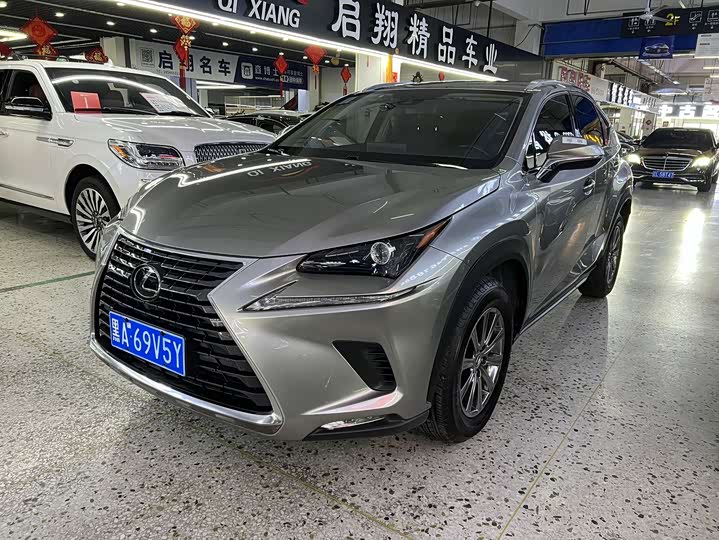 Фото 1 - Lexus NX