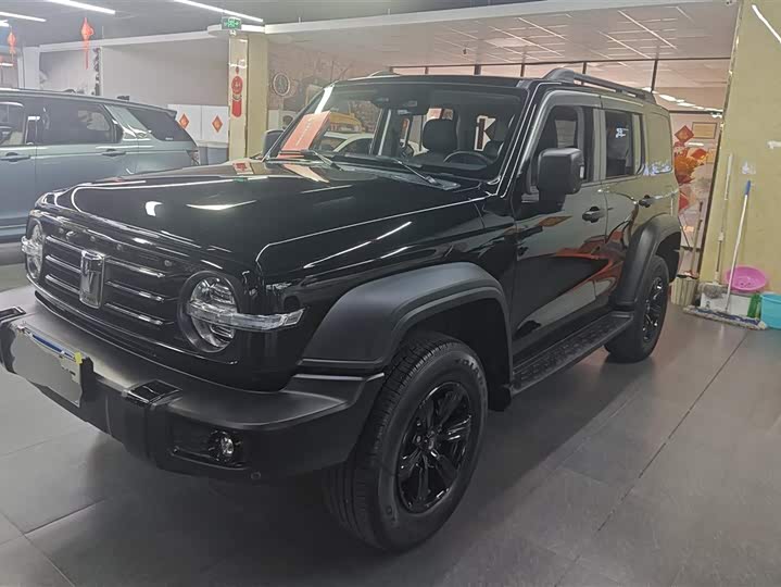 Фото 1 - Tank 300