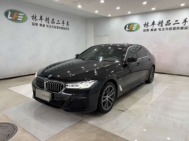Фото 1 - BMW 5 Series Hybrid