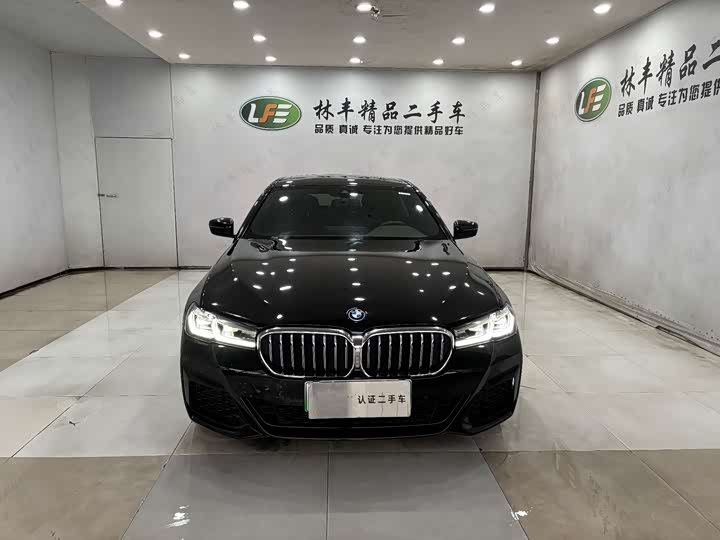 Фото 2 - BMW 5 Series Hybrid
