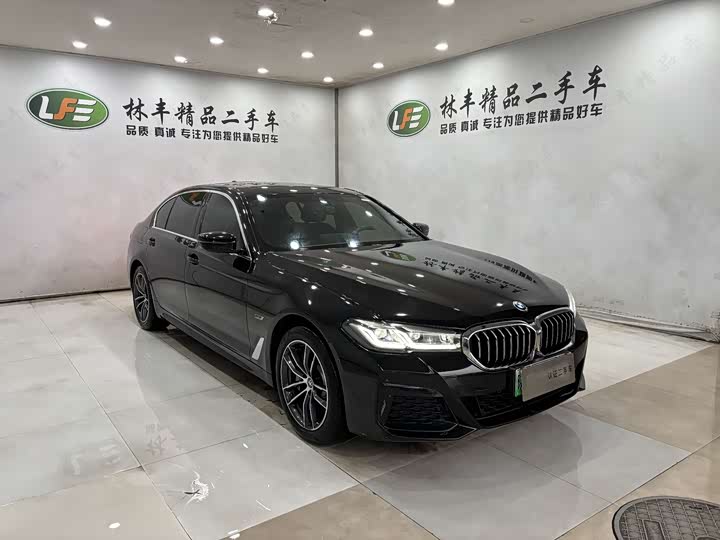 Фото 3 - BMW 5 Series Hybrid