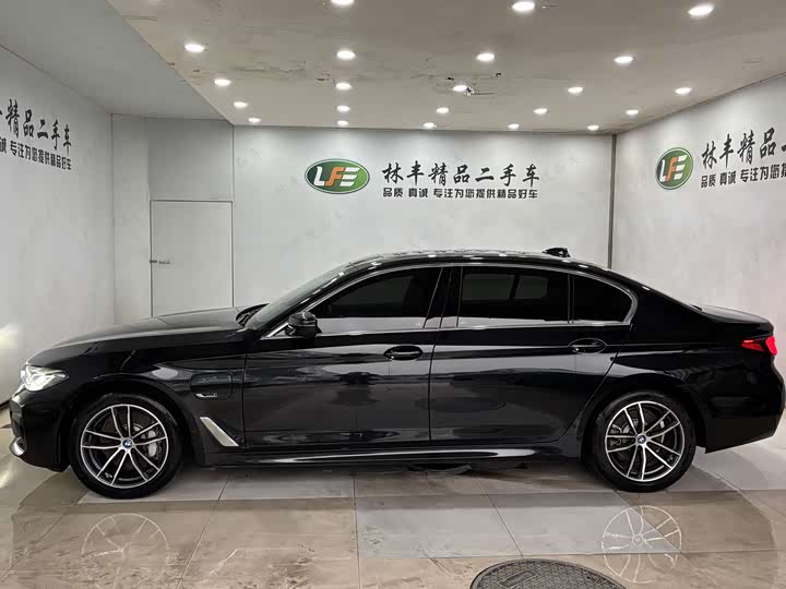 Фото 4 - BMW 5 Series Hybrid