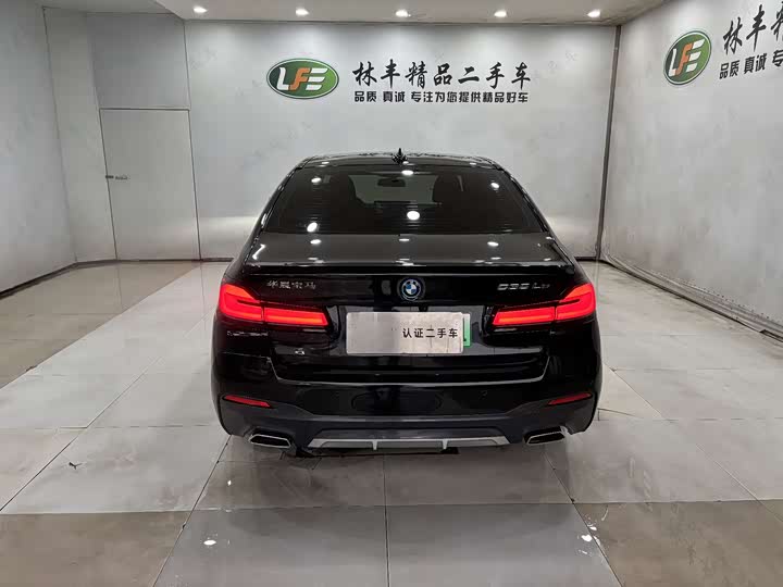 Фото 6 - BMW 5 Series Hybrid