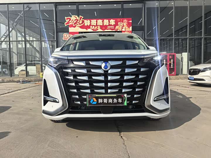 Фото 2 - Denza D9