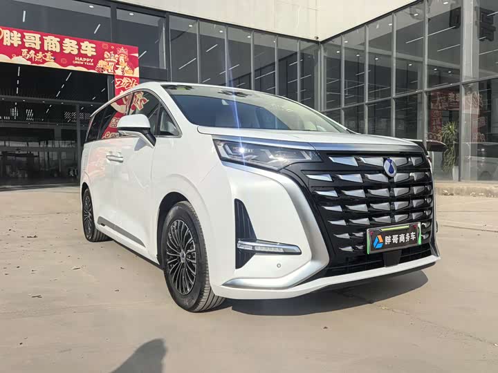 Фото 3 - Denza D9