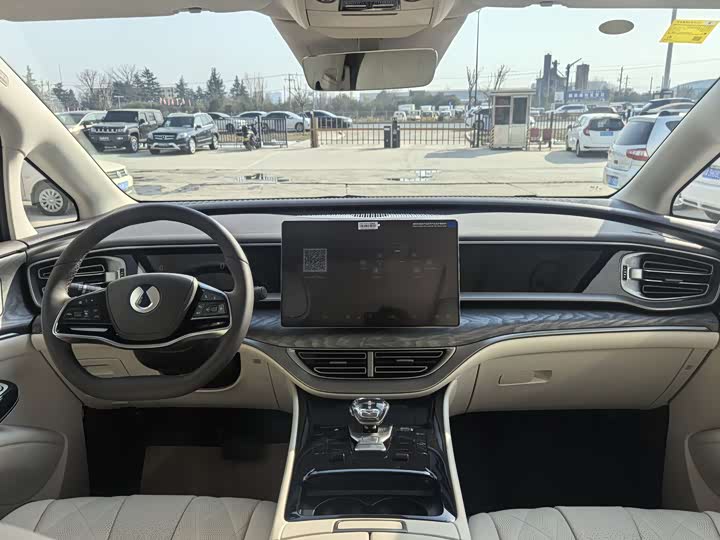 Фото 4 - Denza D9