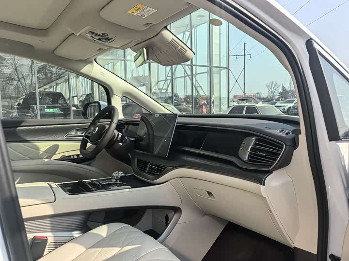 Фото 6 - Denza D9