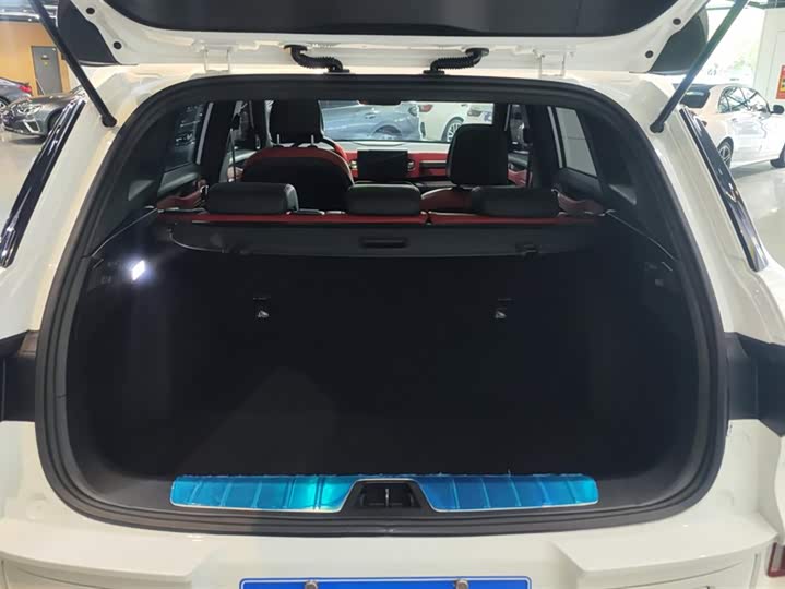 Фото 4 - Geely Icon