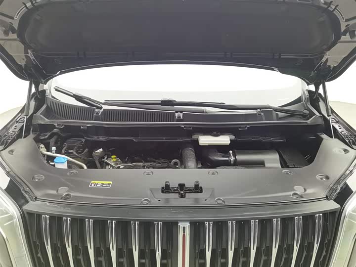 Фото 6 - Hongqi HQ9