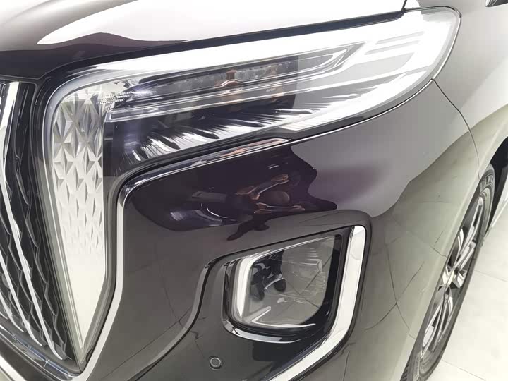 Фото 7 - Hongqi HQ9