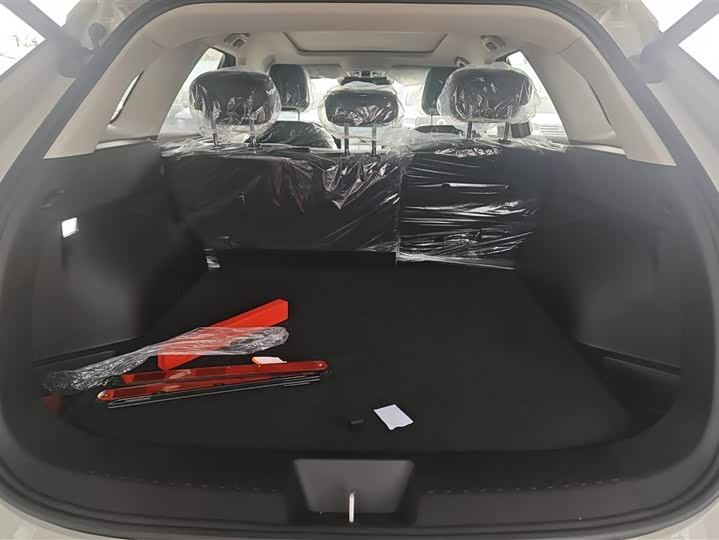 Фото 4 - Haval Ruge Max