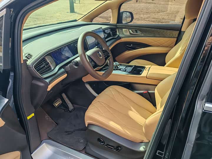 Фото 5 - Denza D9