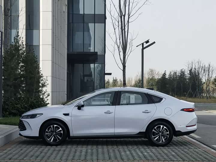 Фото 4 - BYD Qin Plus