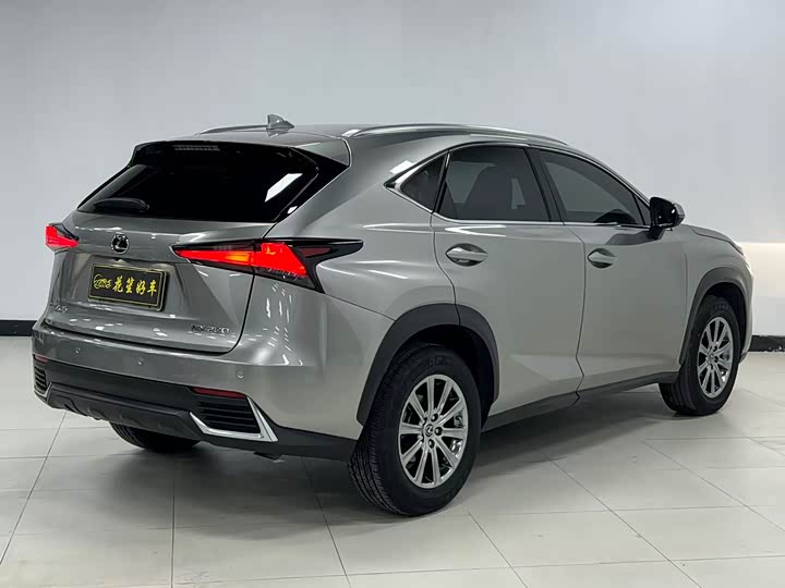 Фото 6 - Lexus NX