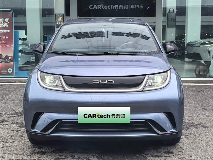 Фото 2 - BYD Dolphin