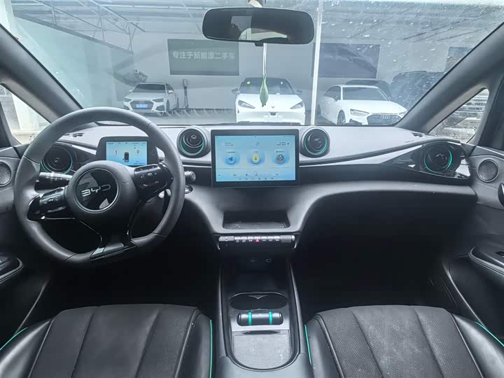 Фото 4 - BYD Dolphin