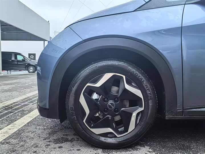 Фото 8 - BYD Dolphin