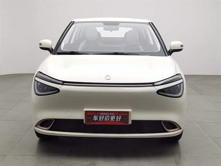 Фото 3 - Dongfeng Nammi 01