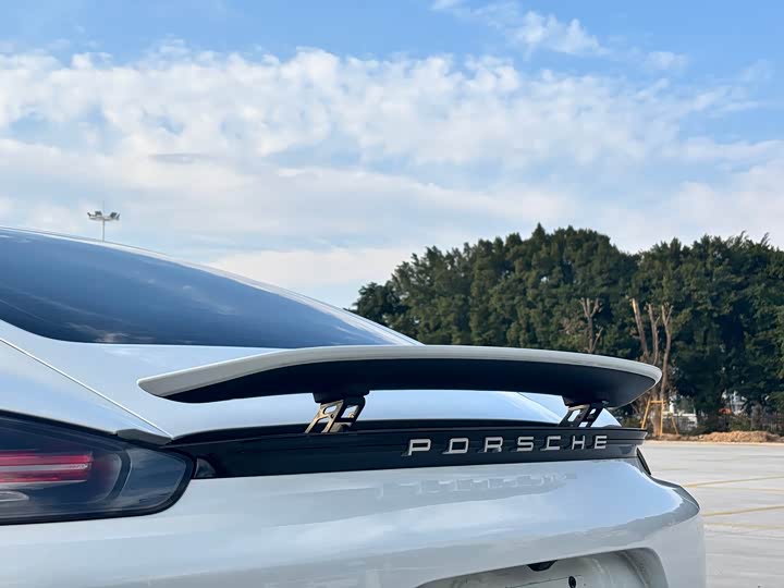 Фото 9 - Porsche 718