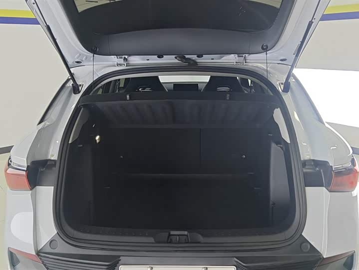 Фото 4 - BYD Yuan Plus