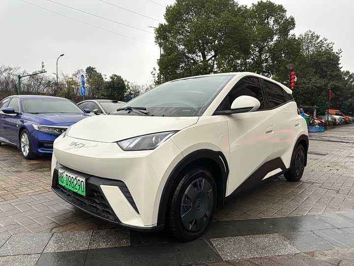 Фото 1 - BYD Seagull