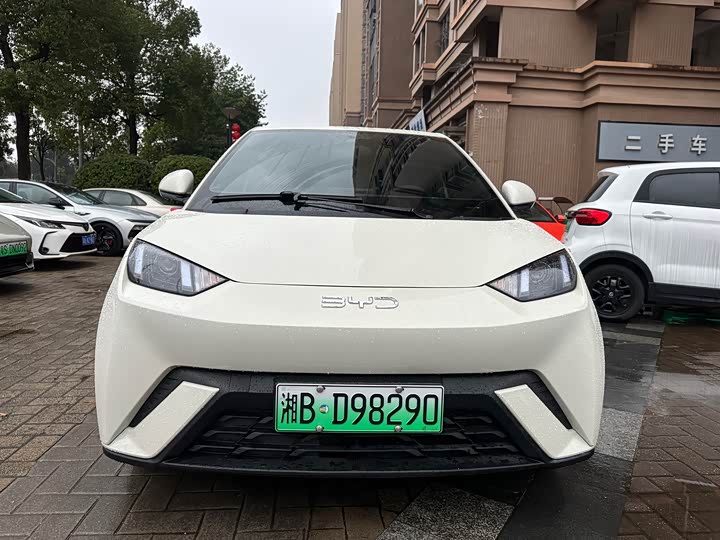 Фото 2 - BYD Seagull