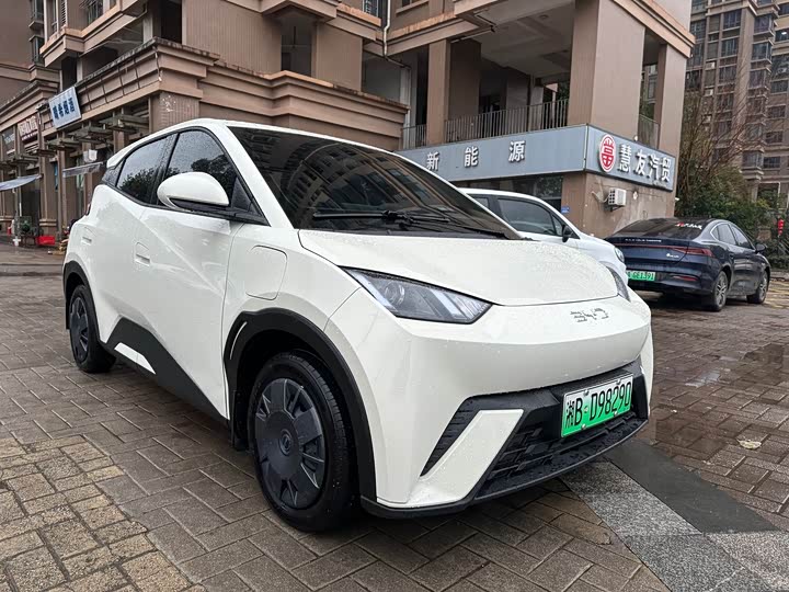 Фото 3 - BYD Seagull